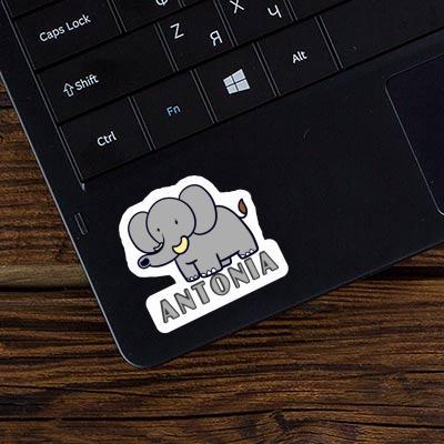 Aufkleber Elefant Antonia Laptop Image