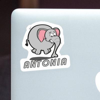 Jumping Elephant Sticker Antonia Image