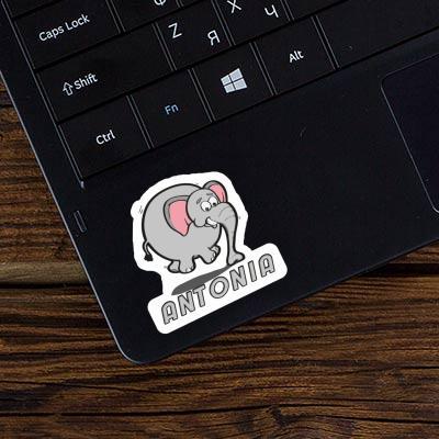 Jumping Elephant Sticker Antonia Laptop Image