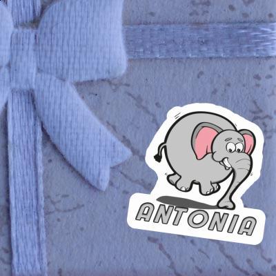 Jumping Elephant Sticker Antonia Notebook Image