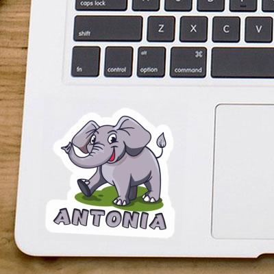 Sticker Elefant Antonia Image