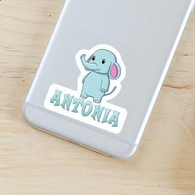 Sticker Elephant Antonia Laptop Image