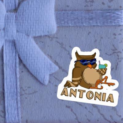 Autocollant Hibou Antonia Notebook Image