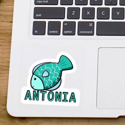 Antonia Sticker Fish Image