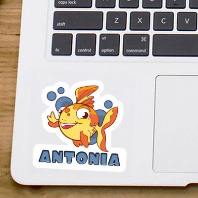 Fish Sticker Antonia Image