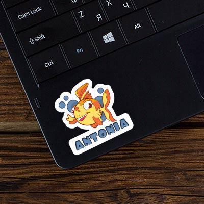 Fish Sticker Antonia Laptop Image