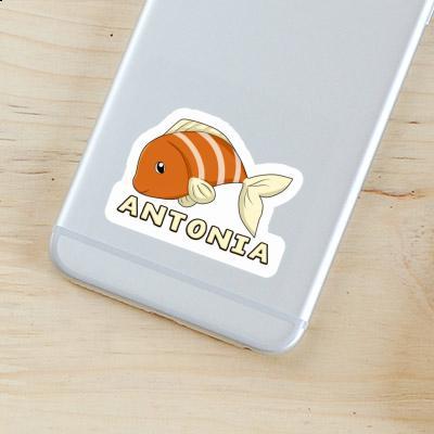 Sticker Antonia Fish Gift package Image