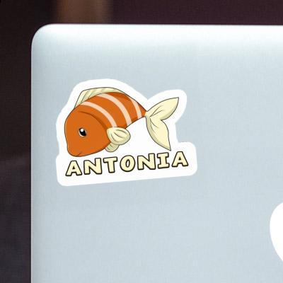 Autocollant Poisson Antonia Laptop Image