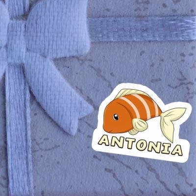 Fisch Sticker Antonia Notebook Image