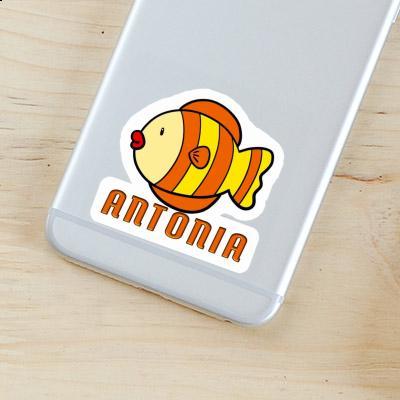 Fish Sticker Antonia Image