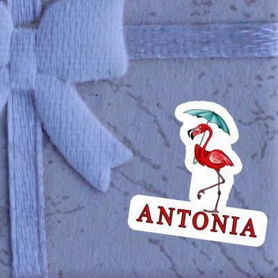 Flamingo Sticker Antonia Laptop Image