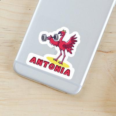 Sticker Flamingo Antonia Laptop Image