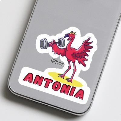 Sticker Flamingo Antonia Image