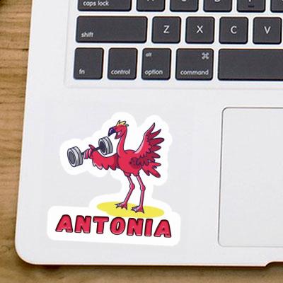 Sticker Flamingo Antonia Laptop Image