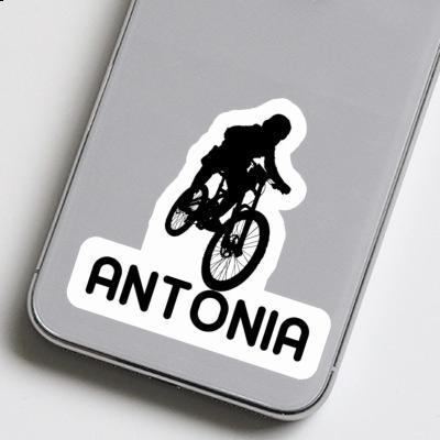 Antonia Aufkleber Freeride Biker Image