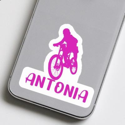 Autocollant Freeride Biker Antonia Gift package Image