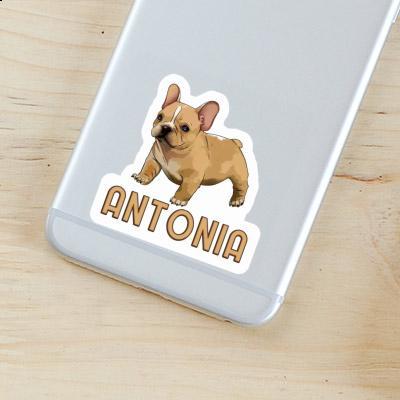 Frenchie Sticker Antonia Notebook Image