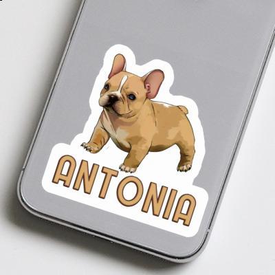 Bulldog français Autocollant Antonia Notebook Image