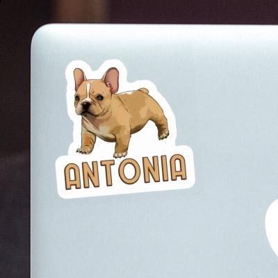 Frenchie Sticker Antonia Image