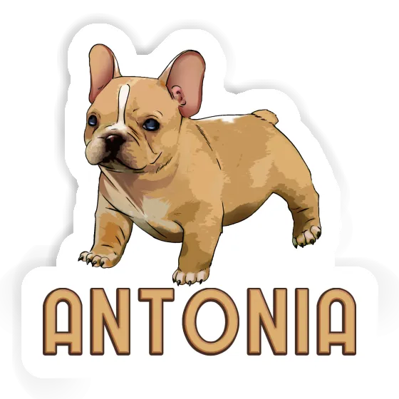 Bulldog français Autocollant Antonia Laptop Image