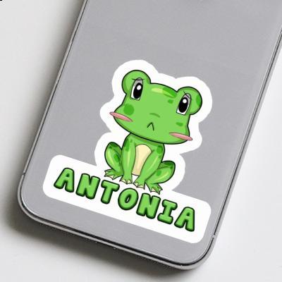 Autocollant Grenouille Antonia Notebook Image