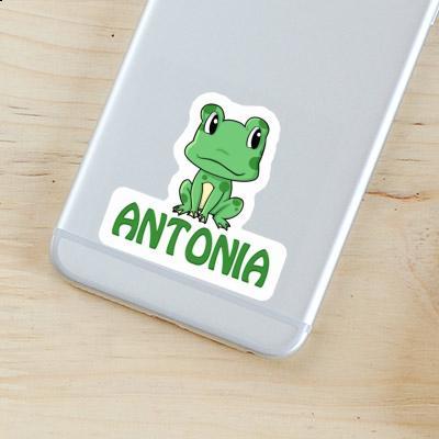 Frog Sticker Antonia Notebook Image