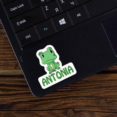 Frog Sticker Antonia Laptop Image