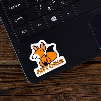 Sticker Antonia Fuchs Laptop Image