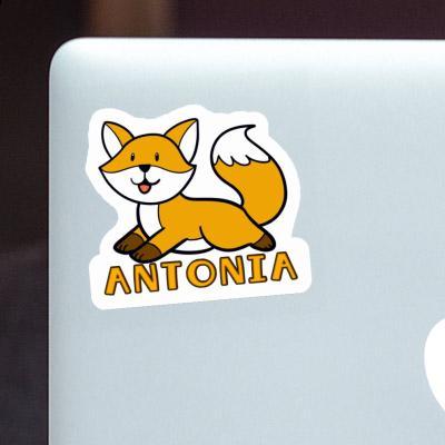 Sticker Fox Antonia Laptop Image