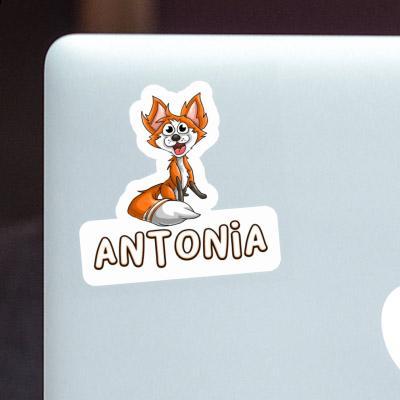 Fox Sticker Antonia Gift package Image