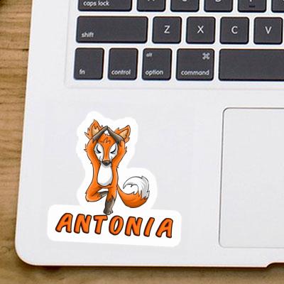 Sticker Yoga Fox Antonia Laptop Image