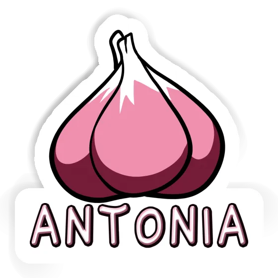 Sticker Garlic clove Antonia Laptop Image