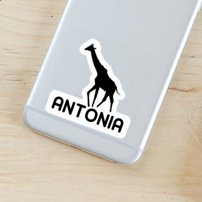 Sticker Antonia Giraffe Laptop Image