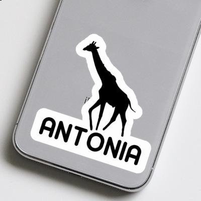 Sticker Antonia Giraffe Laptop Image