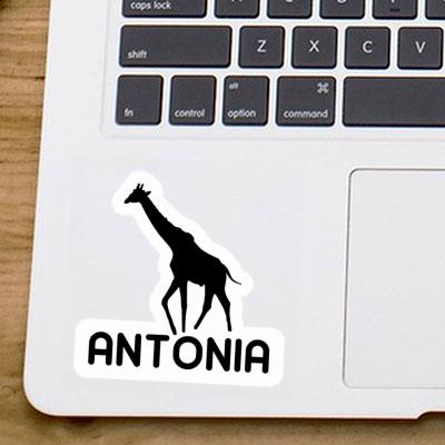 Sticker Antonia Giraffe Laptop Image