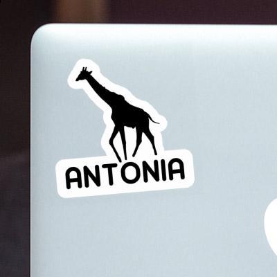 Sticker Antonia Giraffe Notebook Image