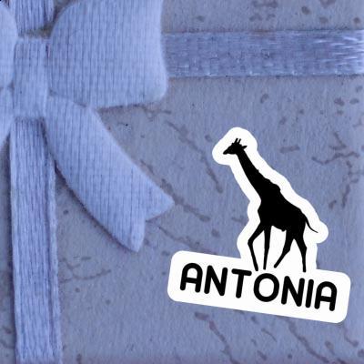 Autocollant Girafe Antonia Image