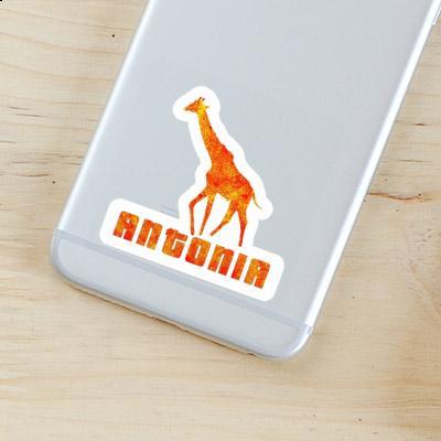 Antonia Autocollant Girafe Image