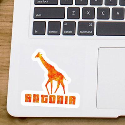 Antonia Autocollant Girafe Laptop Image