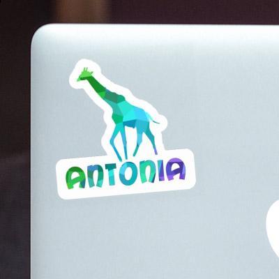 Antonia Autocollant Girafe Image