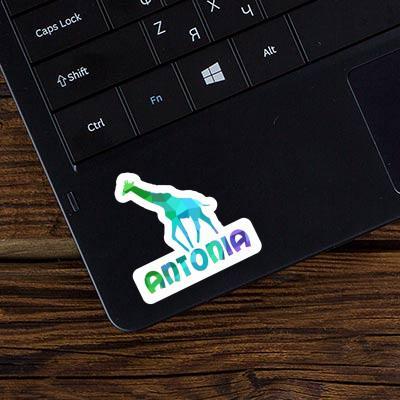 Antonia Autocollant Girafe Laptop Image