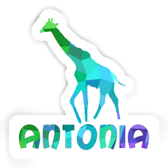 Giraffe Sticker Antonia Gift package Image