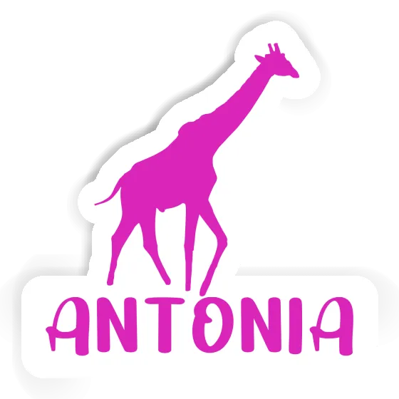 Sticker Giraffe Antonia Gift package Image