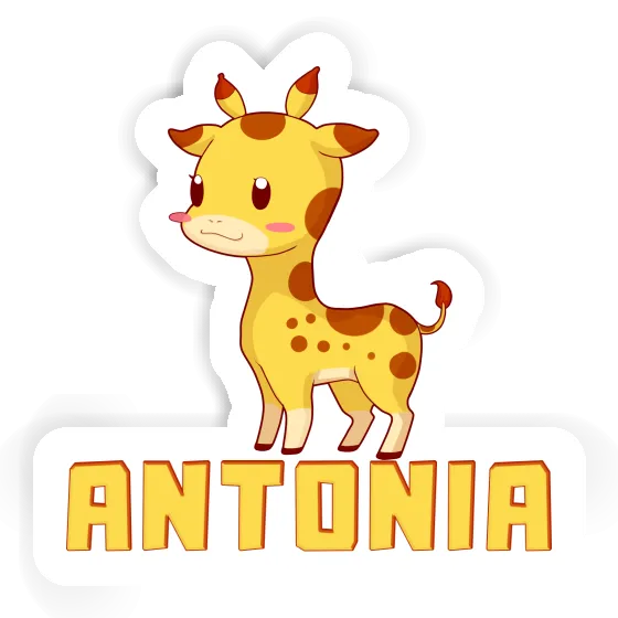 Giraffe Aufkleber Antonia Gift package Image