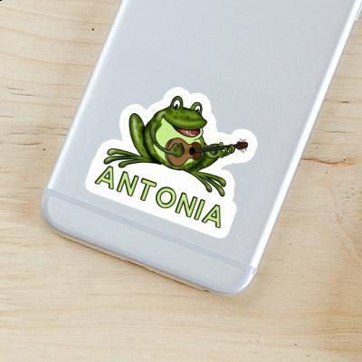 Sticker Guitar Frog Antonia Laptop Image