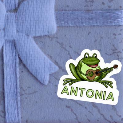 Sticker Guitar Frog Antonia Laptop Image