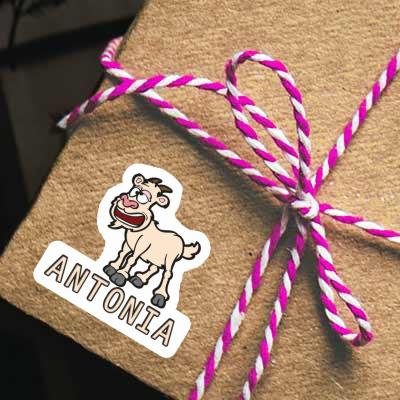 Goat Sticker Antonia Notebook Image