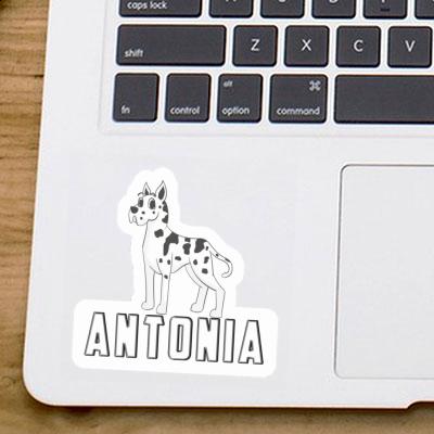 Sticker Antonia Great Dane Gift package Image