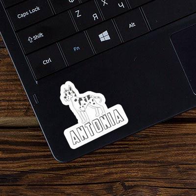 Sticker Antonia Great Dane Laptop Image