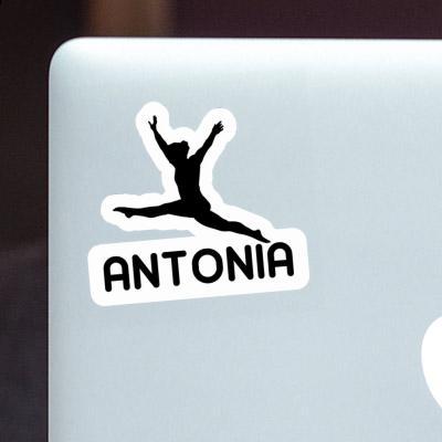 Antonia Sticker Gymnast Notebook Image